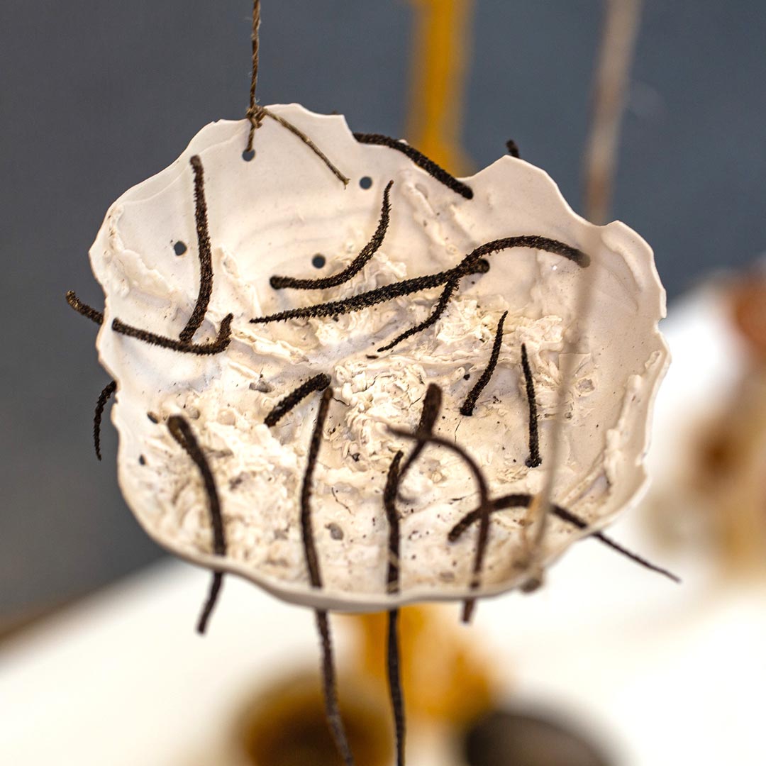 MA Exhibition