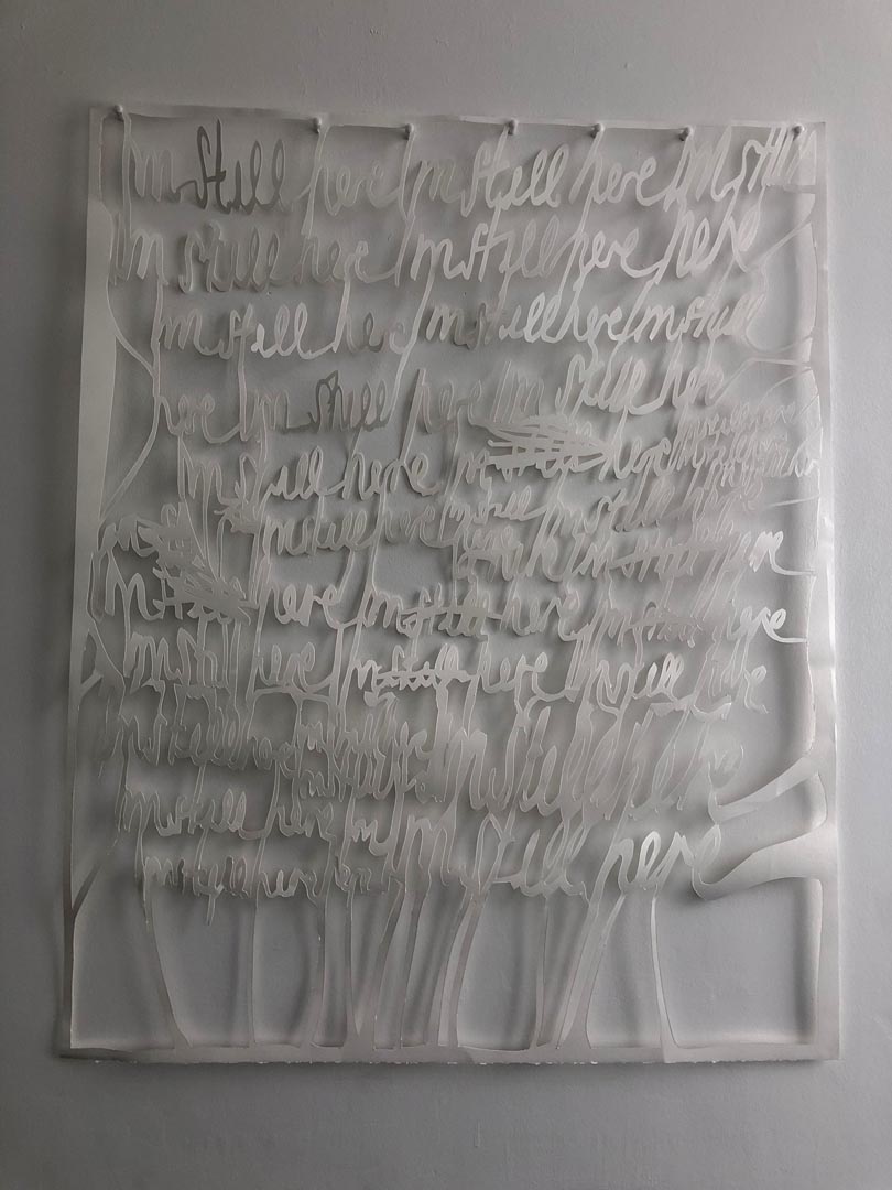 Caitlin Littlejohns Installation image 2