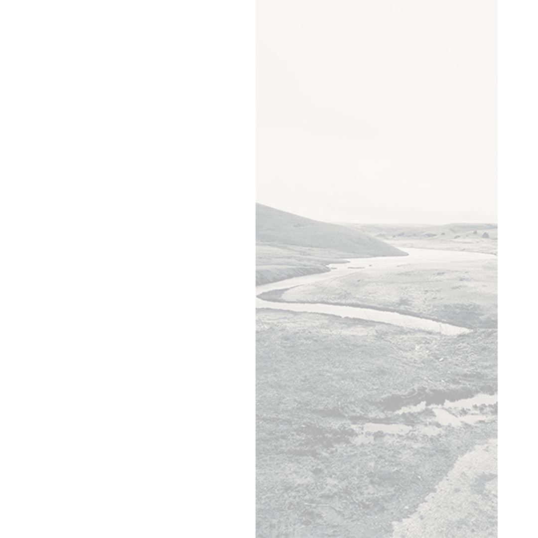 Caitlin Littlejohns, My translucent landscape, 2022