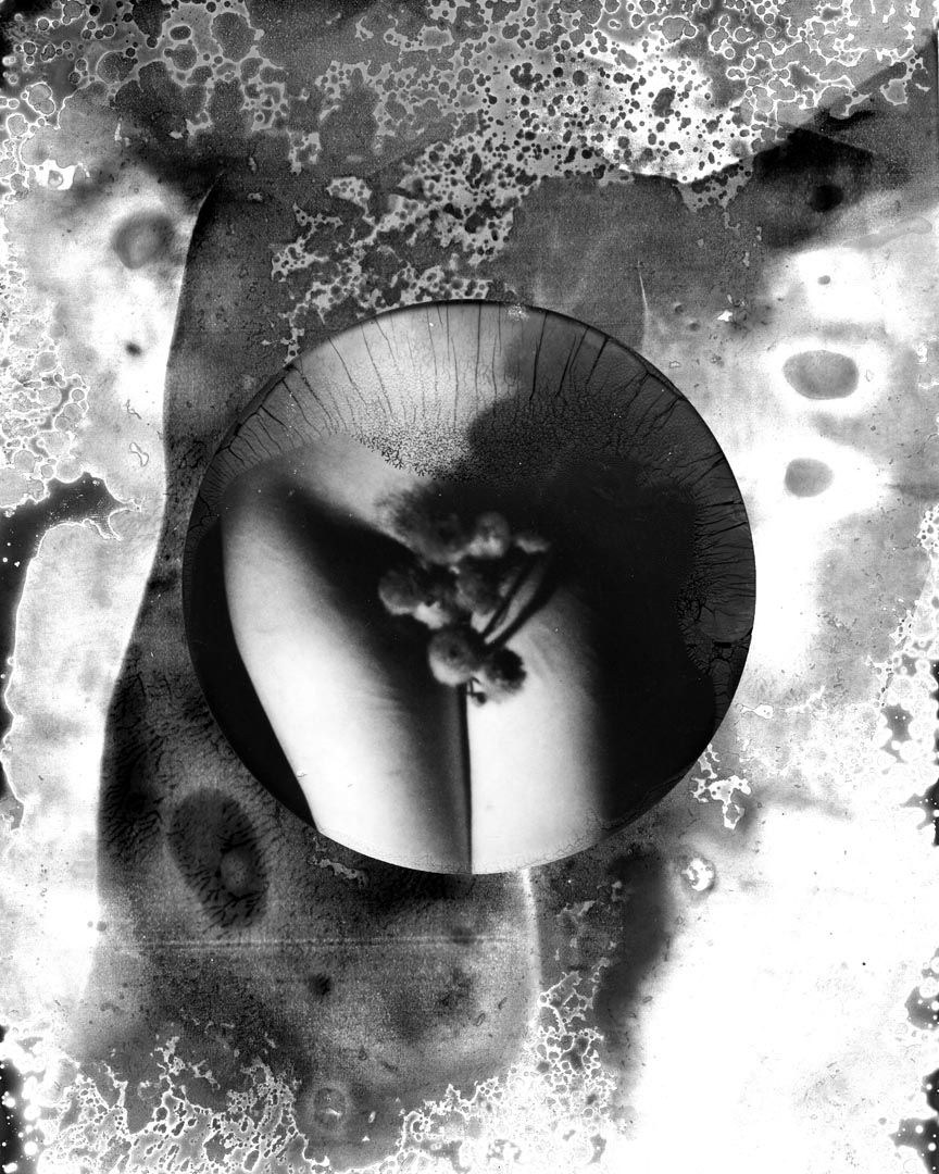 Dione Jones- The Divine Anima 3