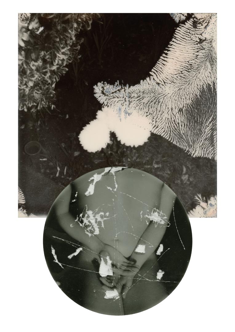 Dione Jones- This Earth is Walls 2
