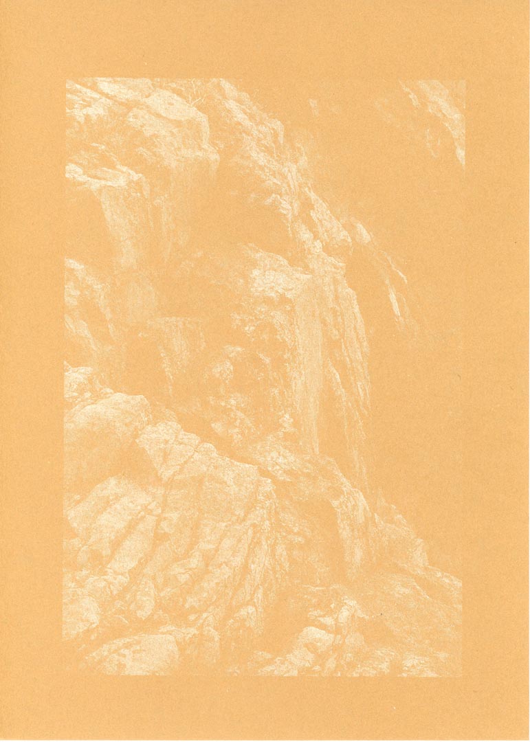 Emily Sullivan Biophilia 1