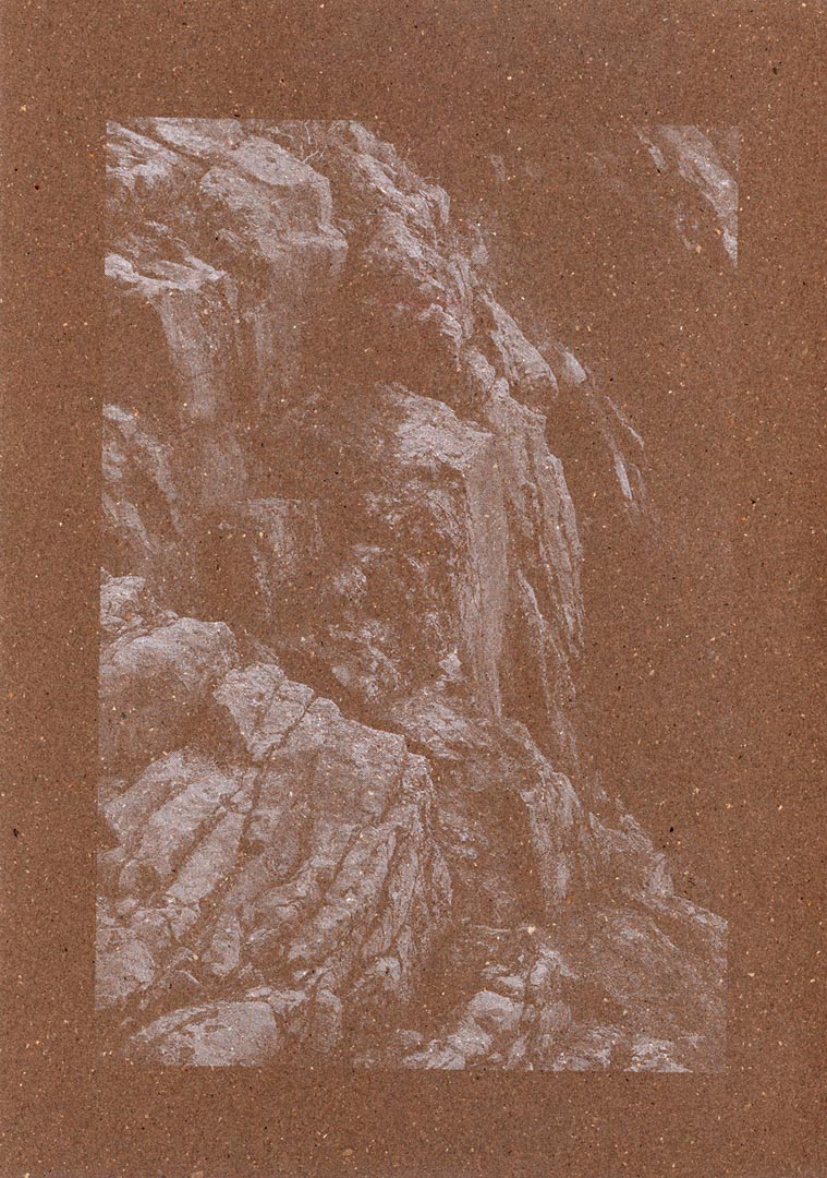 Emily Sullivan Biophilia 4