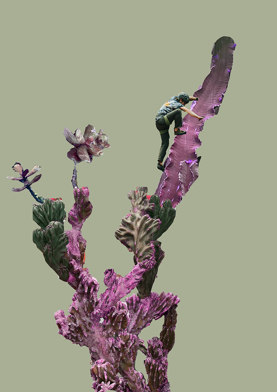 Hybrid 3_Emma Squire_SPDT