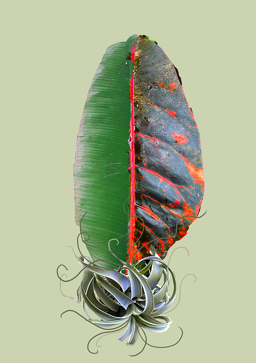 Hybrid1_Emma Squire_SPDT