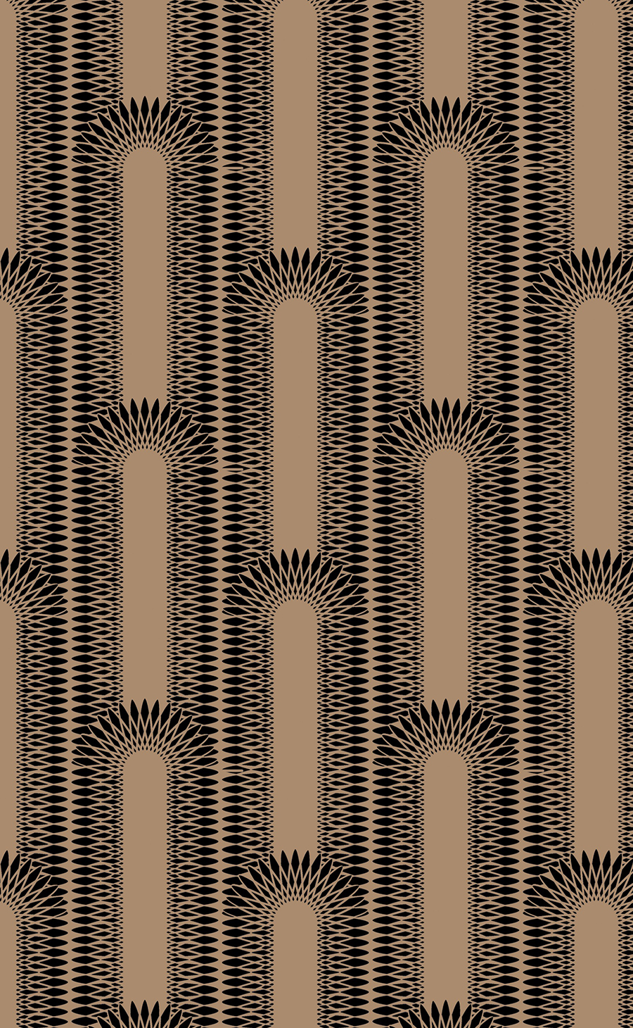 Long_spiro_scallop_repeat_Alanis_Fletcher_SPT