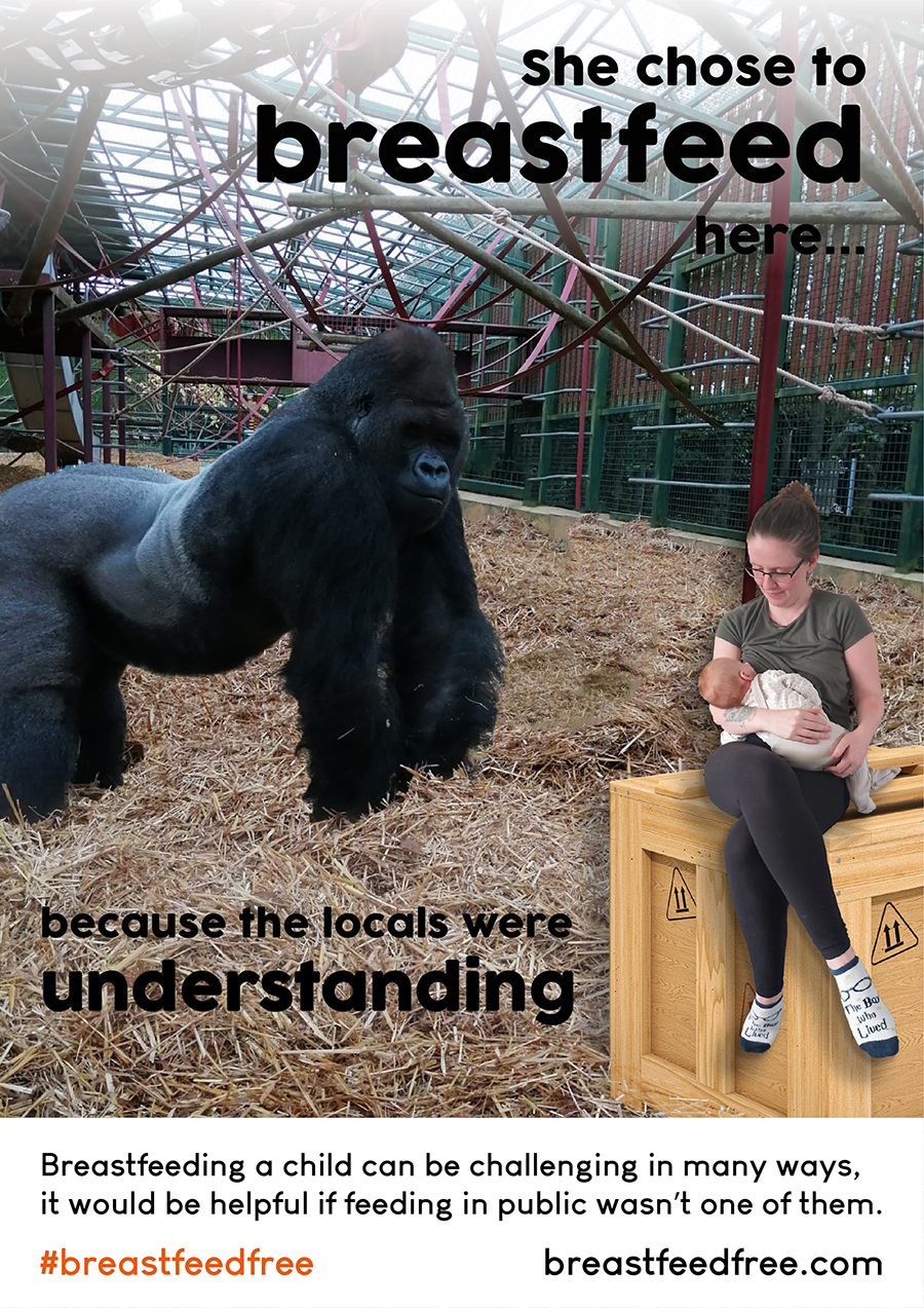 Gorilla enclosure FINAL 1