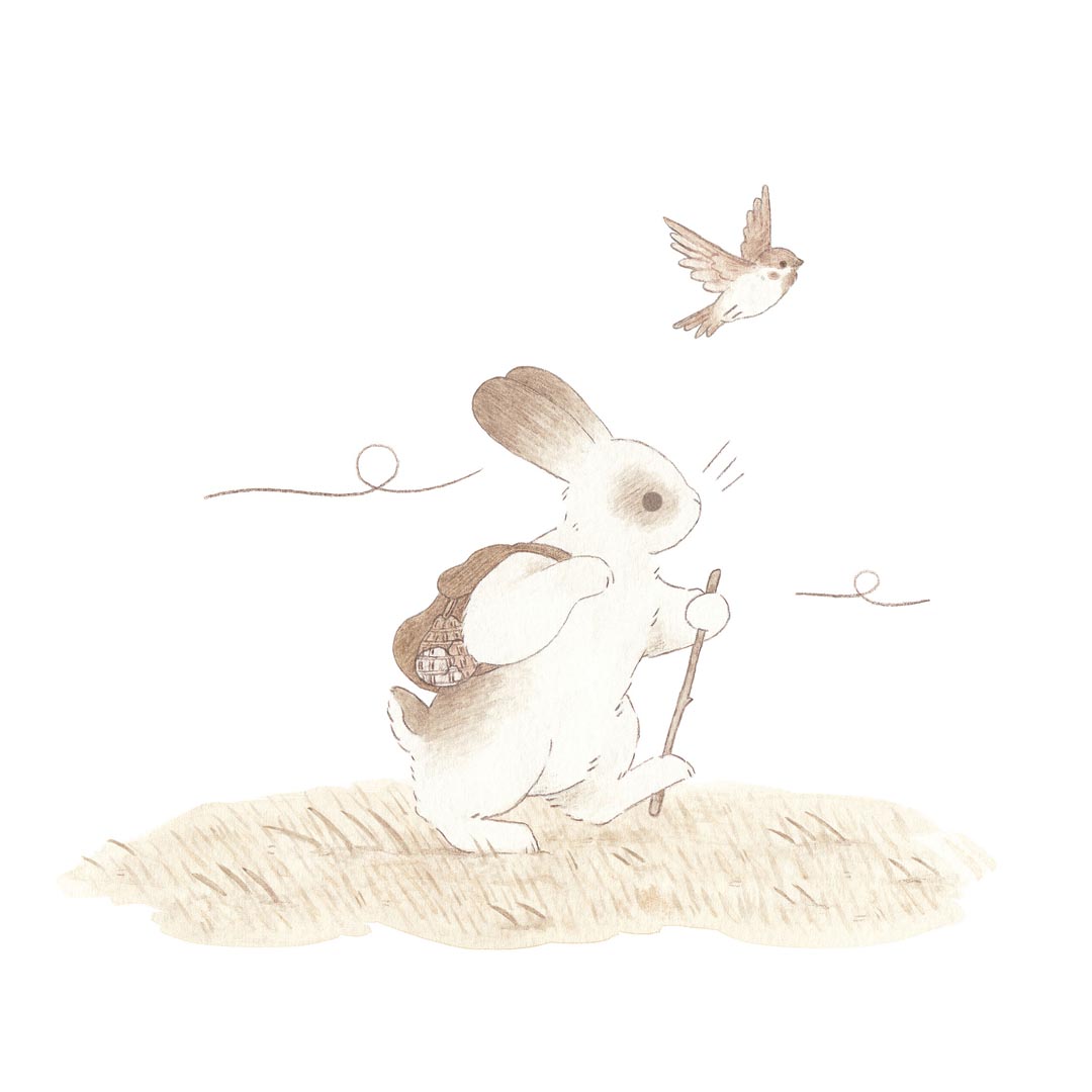 Rebecca Cowley Hiking rabbit