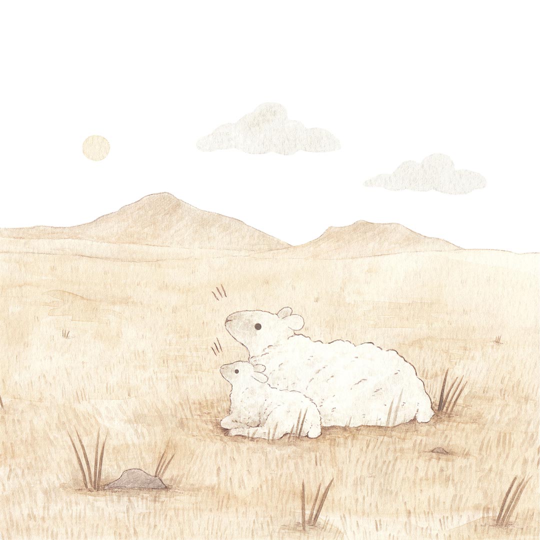 Rebecca Cowley Sheep and lamb