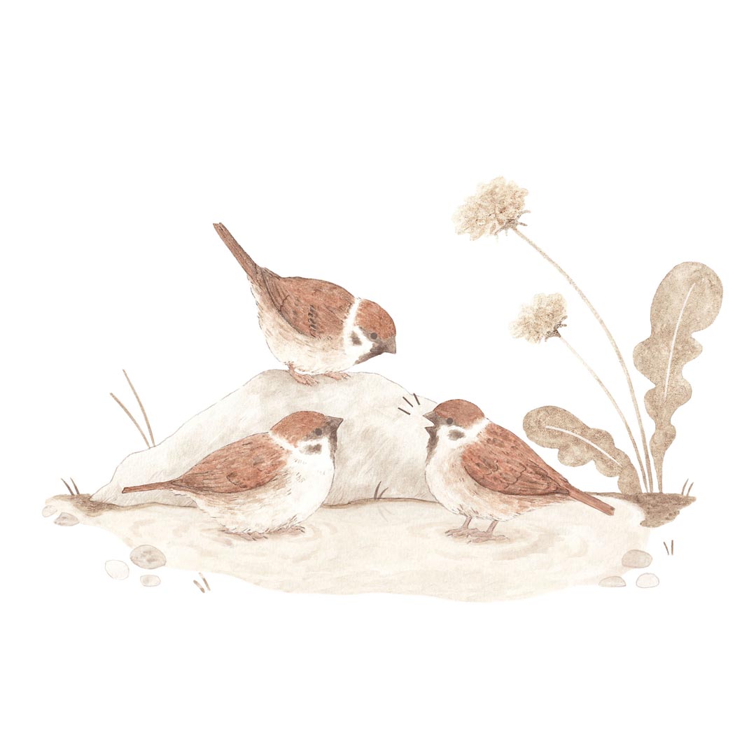 Rebecca Cowley Tree sparrow trio