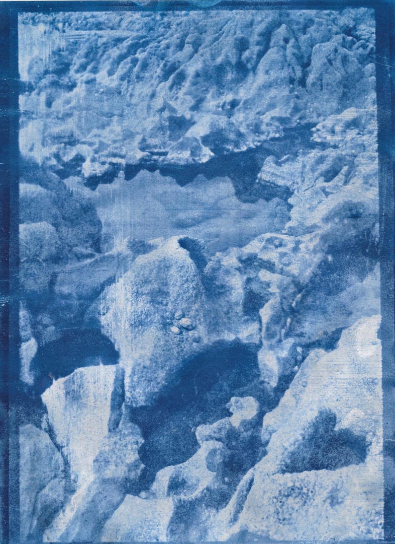 Traces of the Tide (Megan W) 4