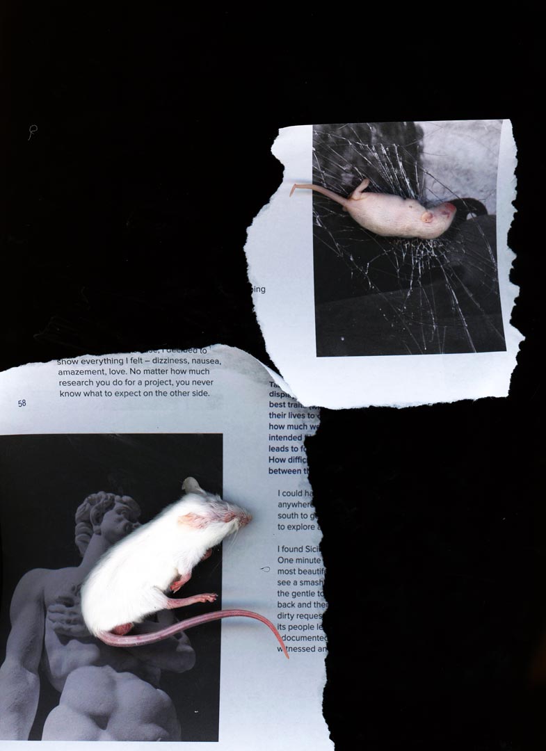 collage overlay 2