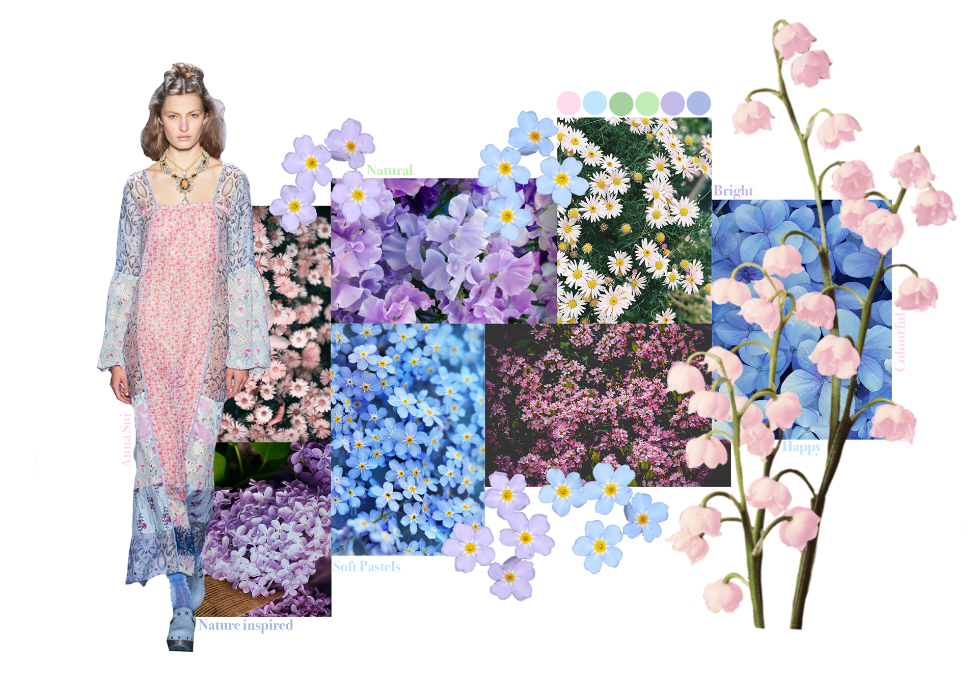 colour borad
