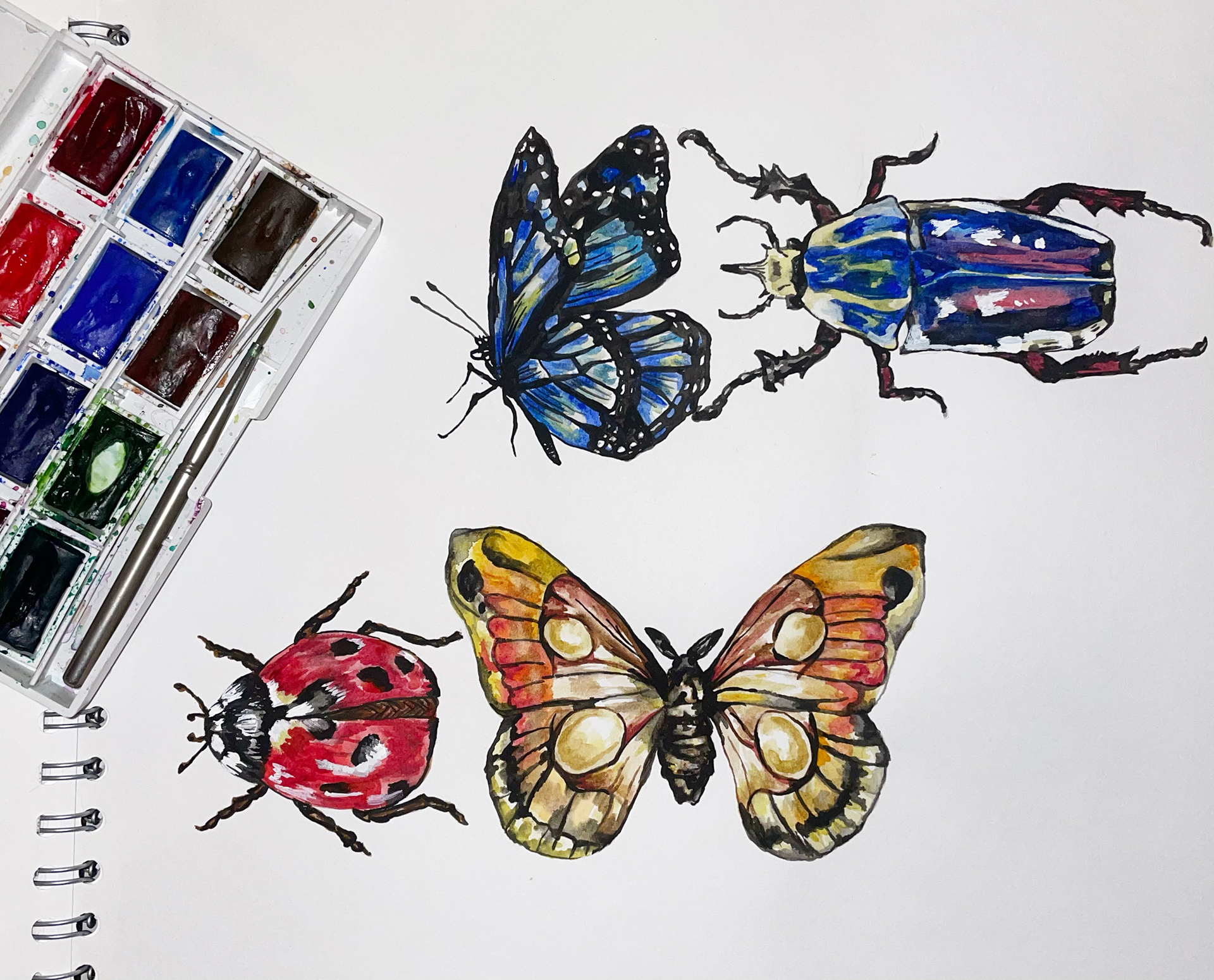 paintingbugsinsects_oliwiamielczare_SPT