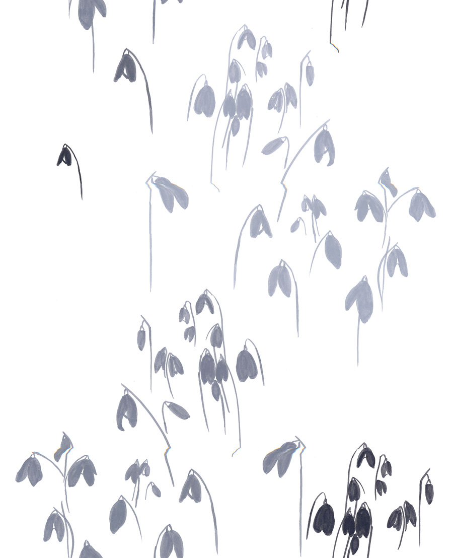 snow drops_Tia Dawkins_SP cop111y
